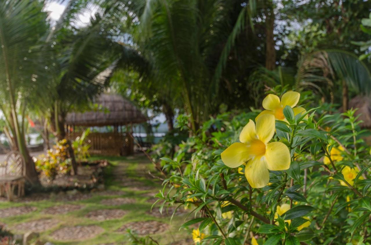 Concepcion Divers Lodge バスアンガ エクステリア 写真